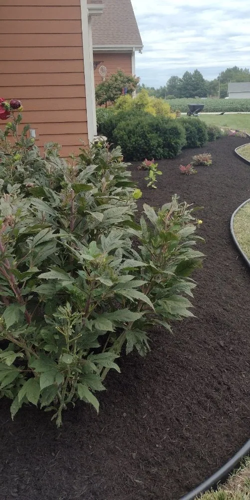 Top-rated lawn mowing service for beautiful yards in Fort Wayne, IN by Green Lawn Landscape & Lawncare