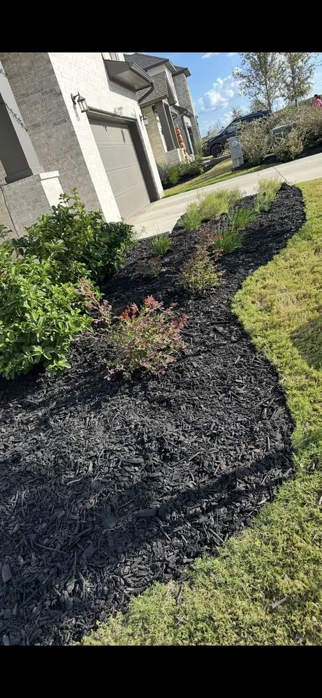 Expert lawn care service in Mustang Ridge, TX - Green Lawn Landscape & Maintenance