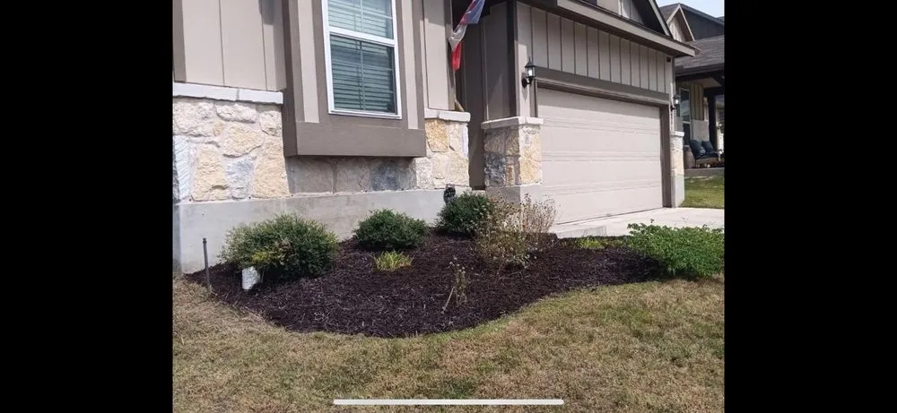 Expert yard cleanup service in Mustang Ridge, TX - Green Lawn Landscape & Maintenance