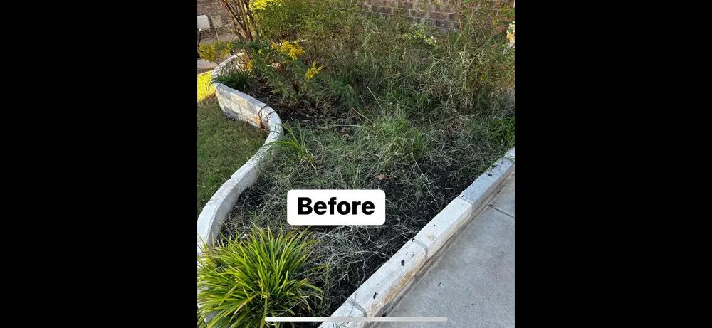 Top-rated yard cleanup service experts serving Mustang Ridge, TX - Green Lawn Landscape & Maintenance