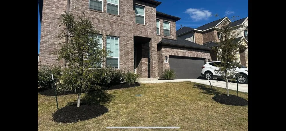 Custom yard maintenance experts serving Mustang Ridge, TX - Green Lawn Landscape & Maintenance