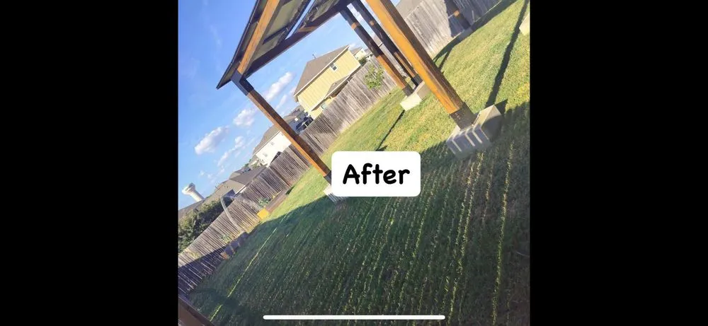 Affordable landscaping services in Mustang Ridge, TX by Green Lawn Landscape & Maintenance