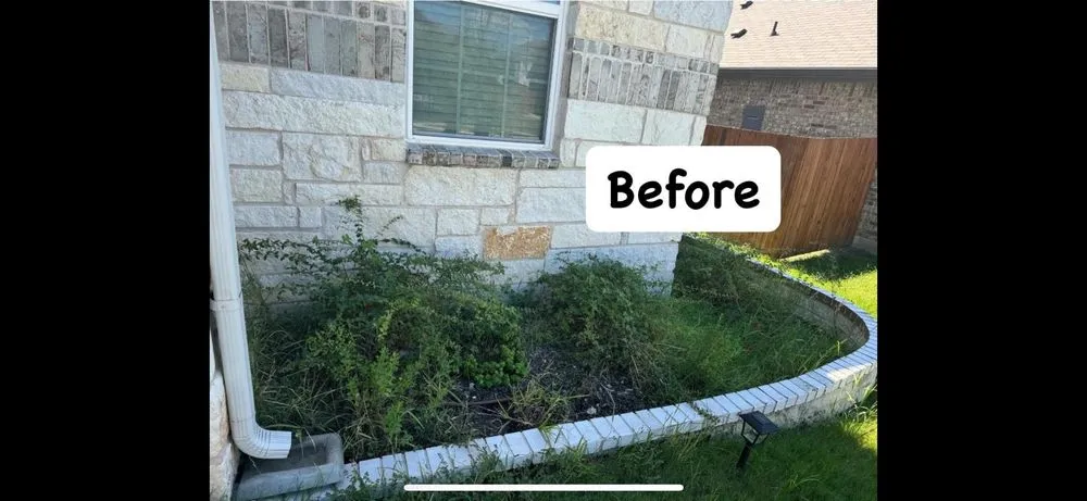 Trusted lawn mowing service in Mustang Ridge, TX - Green Lawn Landscape & Maintenance