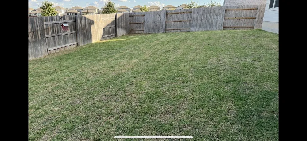 Expert landscape installation for residential properties across Mustang Ridge, TX - Green Lawn Landscape & Maintenance