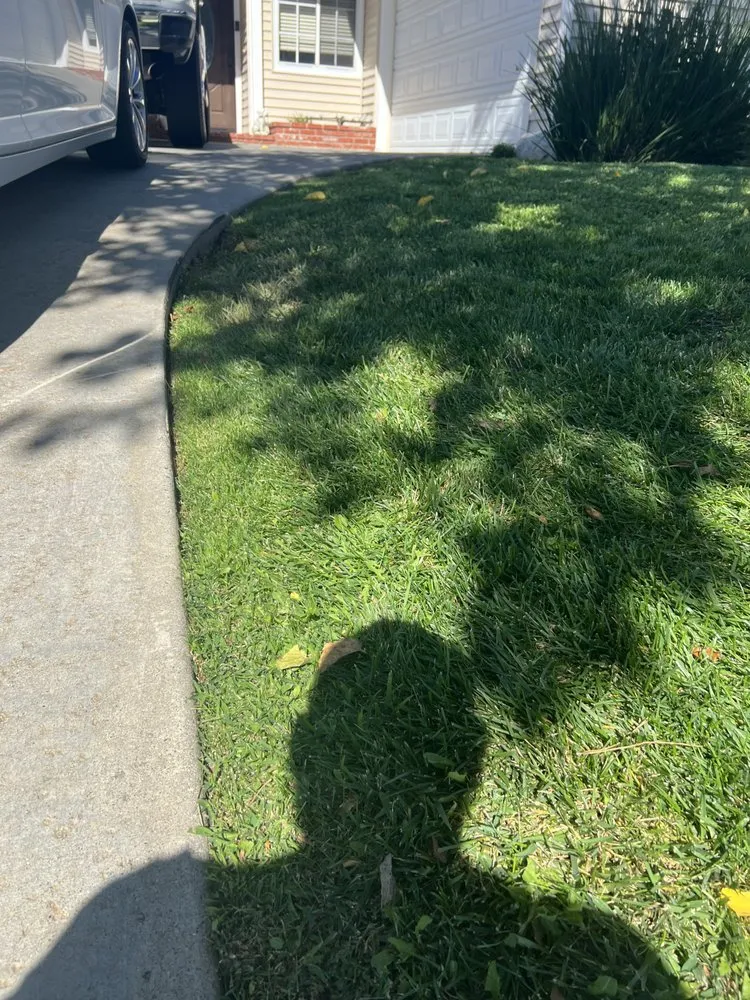 Professional yard cleanup service for year-round maintenance in Santa Clarita, CA by Green Lawn Landscape