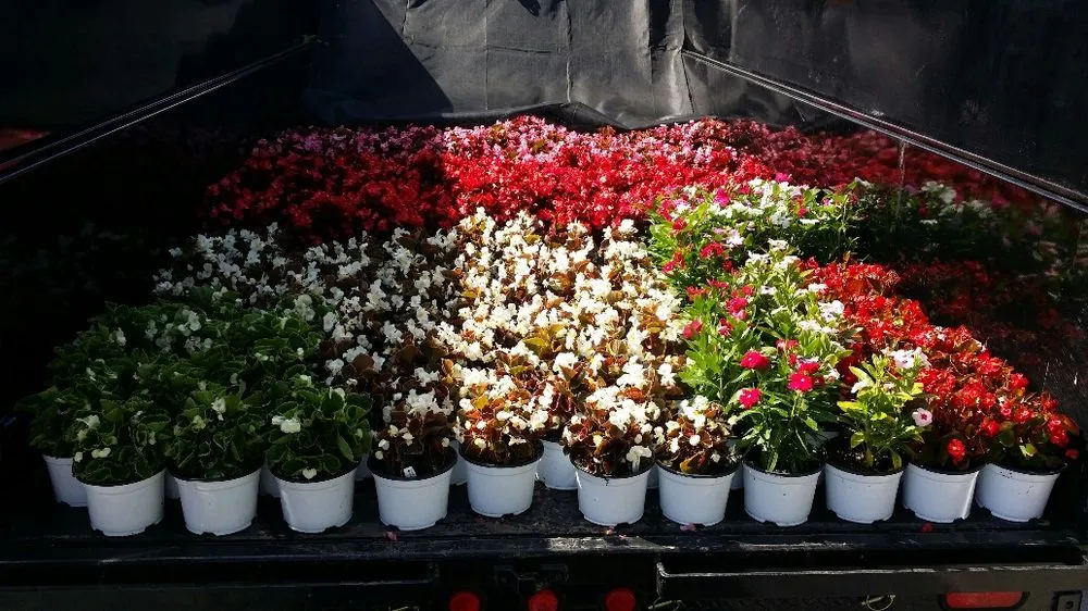 Expert residential landscaping experts serving Hertford, NC - Green Lawn Landscaping