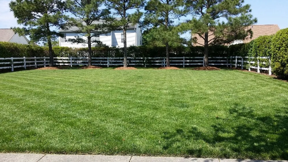 Custom landscaping services in Hertford, NC - Green Lawn Landscaping