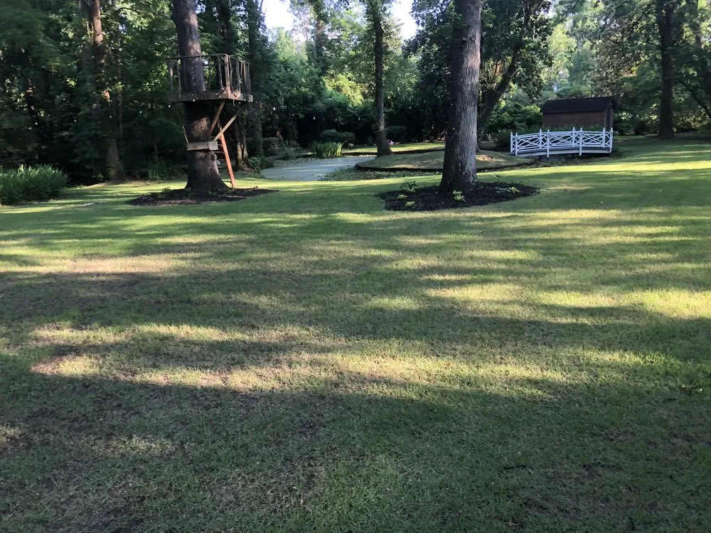 Affordable lawn care service in Wilmington, NC by Green Lawn Landscaping