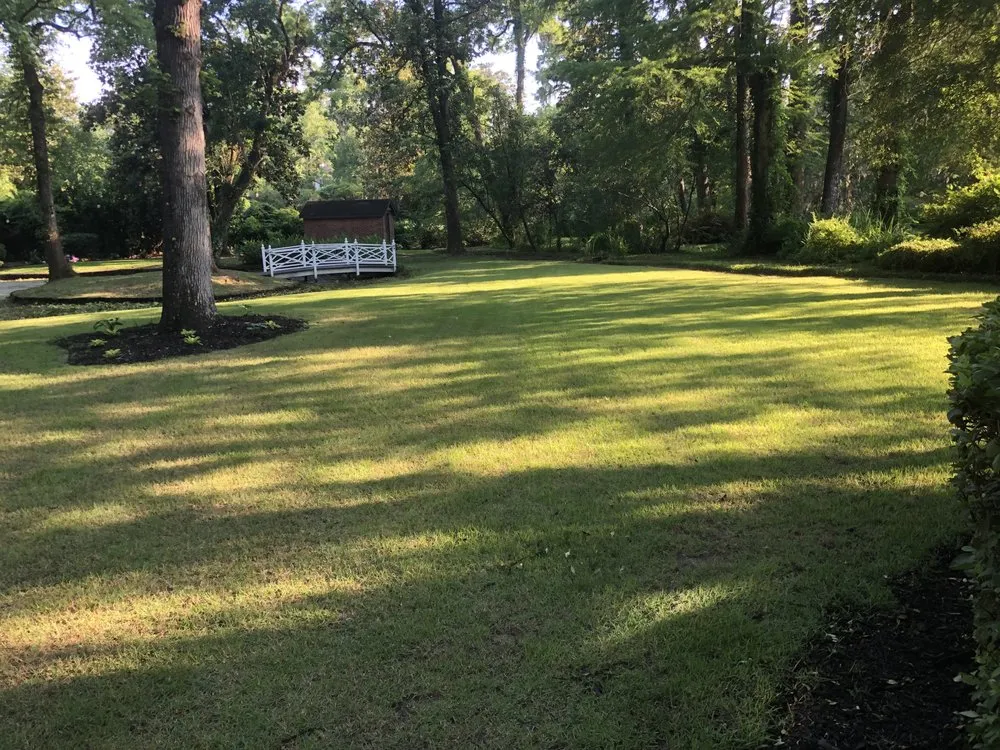 Local lawn care service experts serving Wilmington, NC - Green Lawn Landscaping