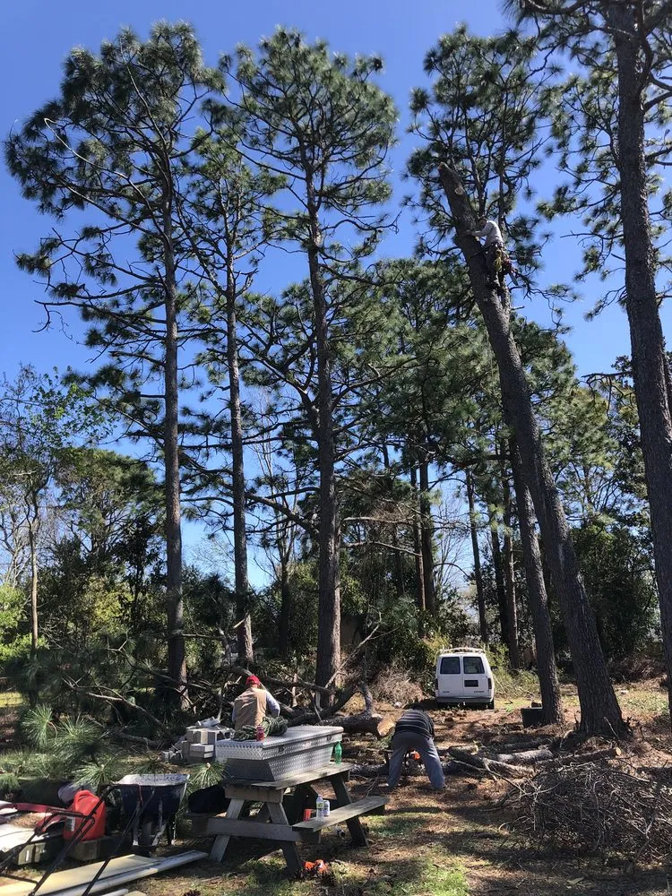 Top-rated outdoor landscaping for homes in Wilmington, NC by Green Lawn Landscaping