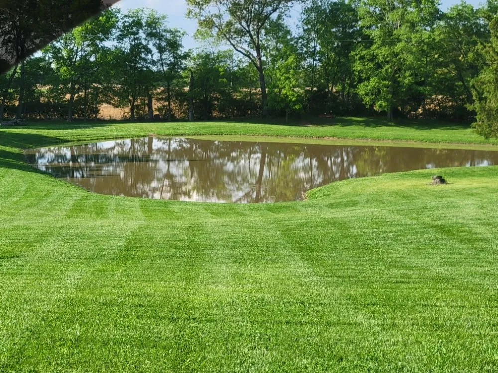 Custom lawn care service in Waterloo, IL - Green Lawn Management