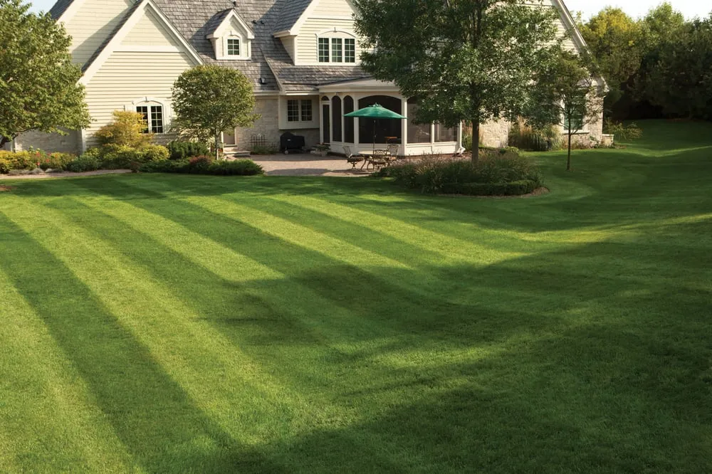 Local landscape design in Dallas, TX by Green Lawn of Texas