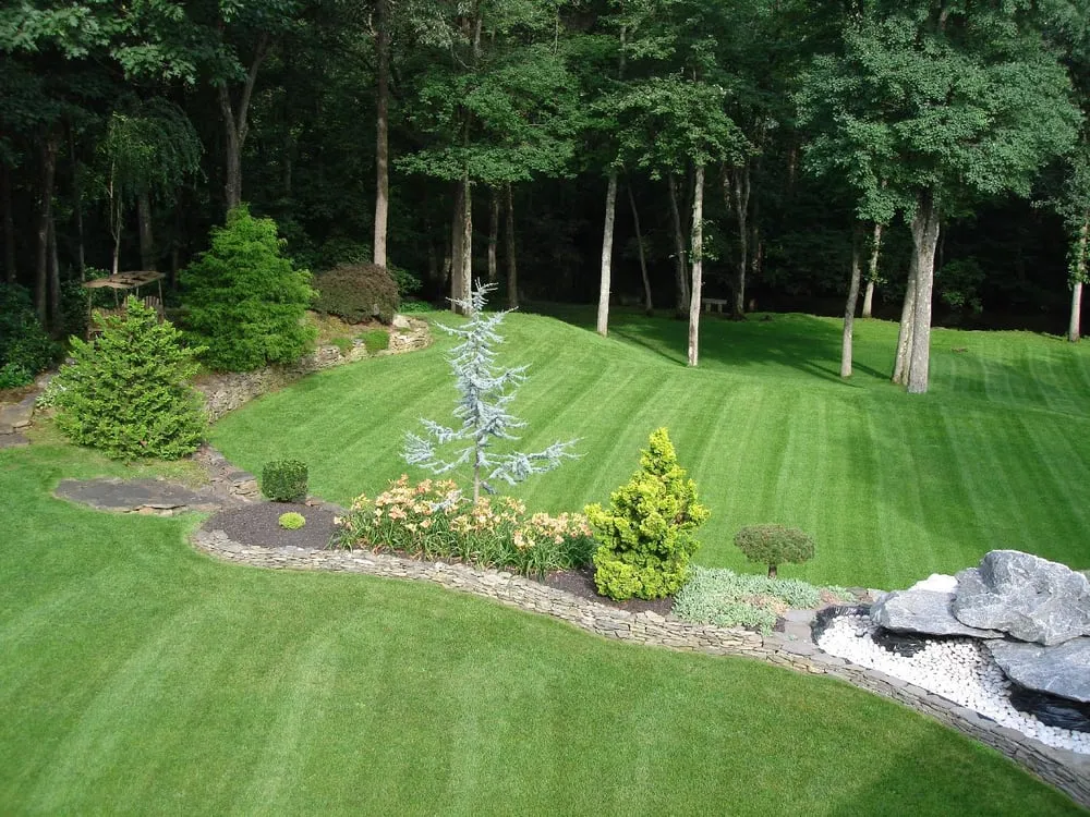 Trusted landscaping services in Dallas, TX - Green Lawn of Texas