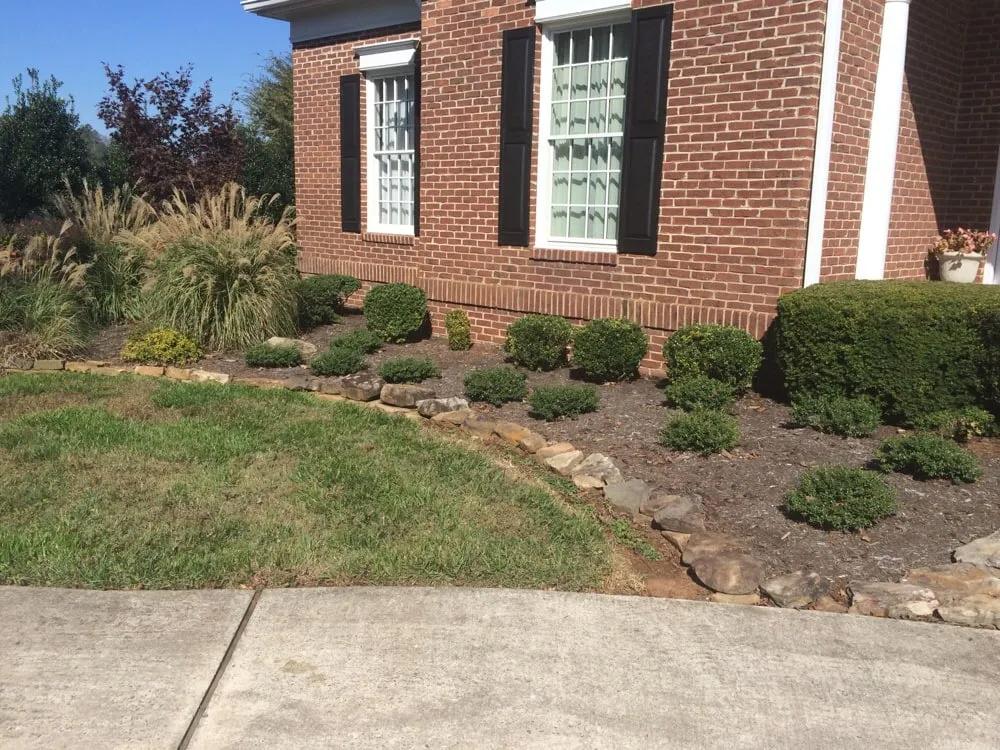Professional yard maintenance in Cleveland, TN by Green Lawn Service