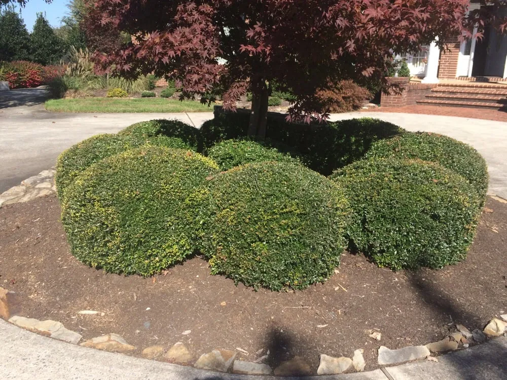 Local outdoor landscaping in Cleveland, TN - Green Lawn Service
