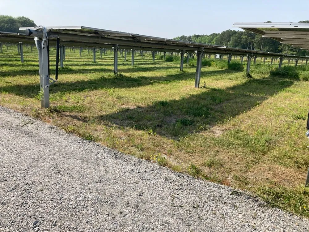 Affordable landscape design in Smithfield, VA by Green Lawn Service