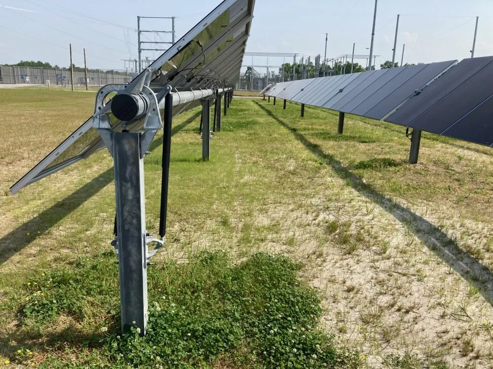 Affordable lawn care service experts serving Smithfield, VA - Green Lawn Service