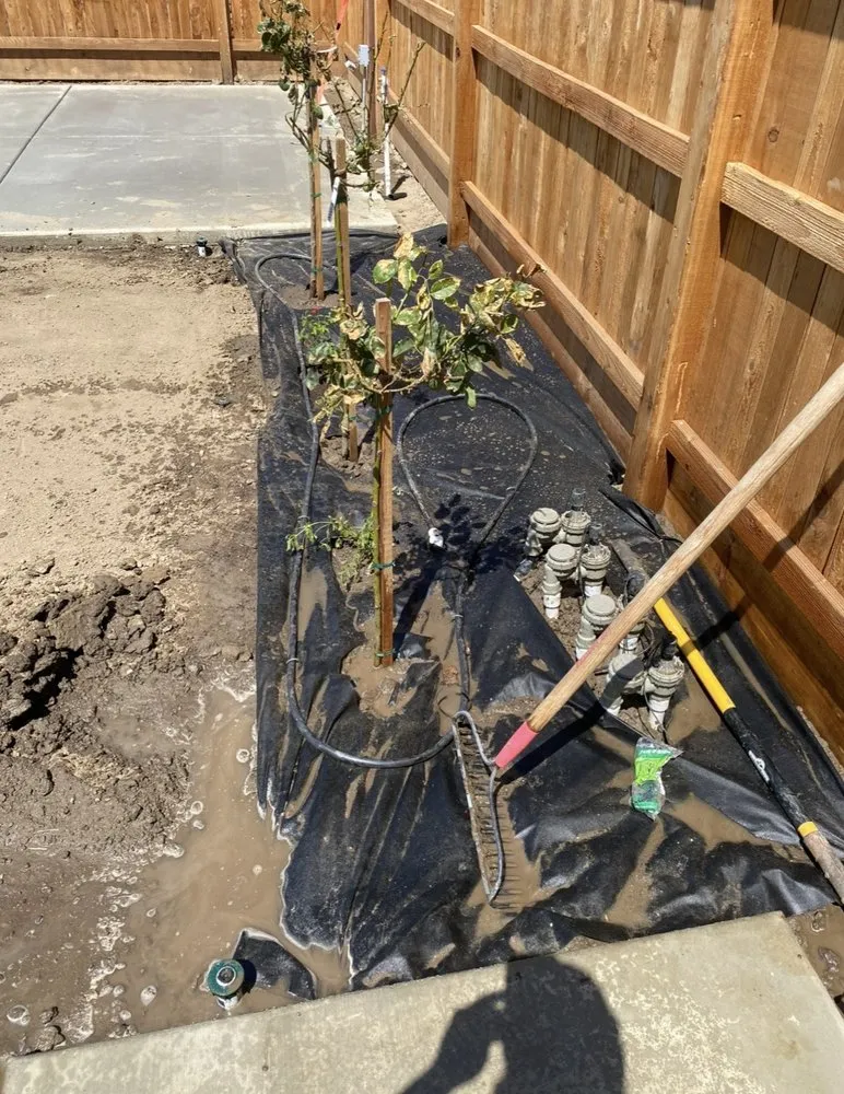 Reliable yard maintenance for homes in Woodlake, CA by Green Lawn Service