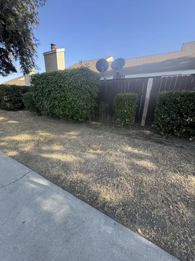 Affordable yard maintenance in Woodlake, CA - Green Lawn Service