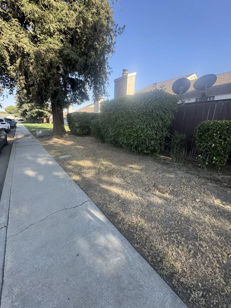 Custom residential landscaping experts serving Woodlake, CA - Green Lawn Service