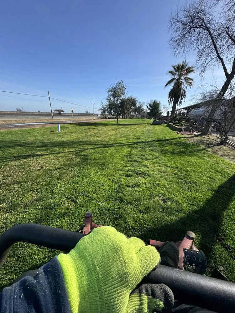 Reliable lawn mowing service for year-round maintenance across Woodlake, CA - Green Lawn Service