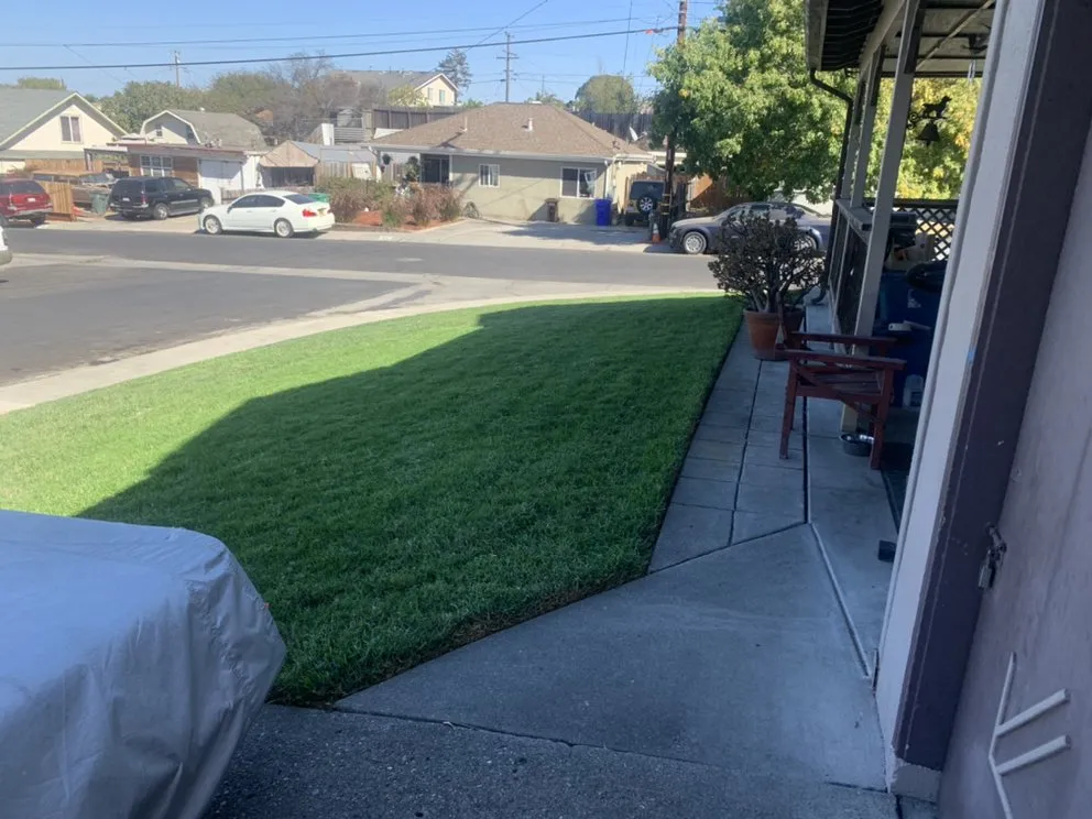 Top-rated outdoor landscaping for beautiful yards in San Pablo, CA by Green Lawn Services