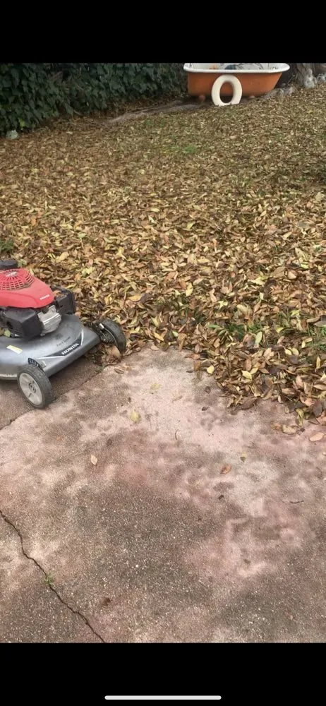 Top-rated landscape design in San Pablo, CA - Green Lawn Services