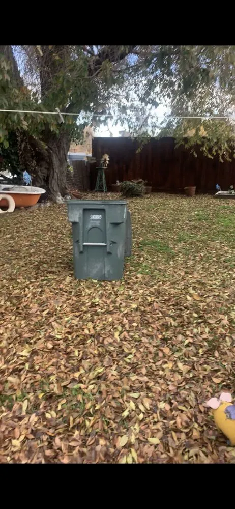 Professional landscape design in San Pablo, CA - Green Lawn Services