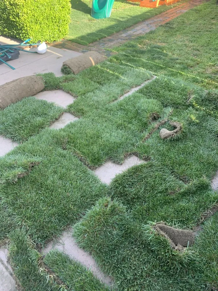 Expert lawn mowing service in San Pablo, CA - Green Lawn Services