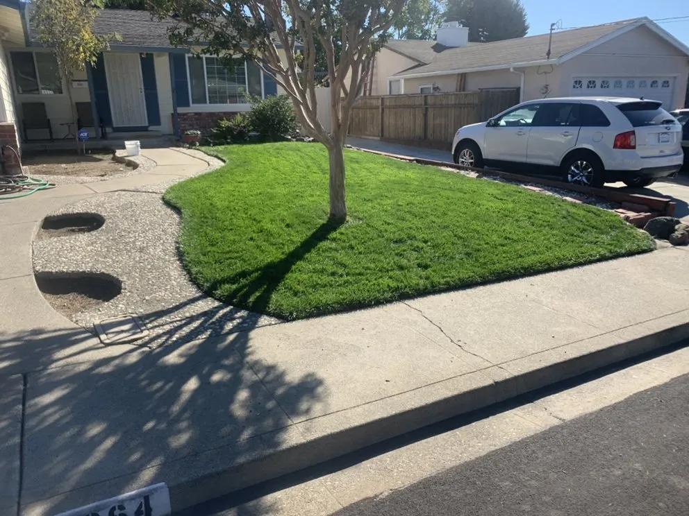 Expert landscape design for year-round maintenance across San Pablo, CA - Green Lawn Services