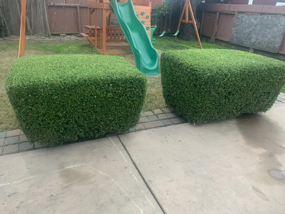 Expert lawn mowing service for homes in San Pablo, CA by Green Lawn Services