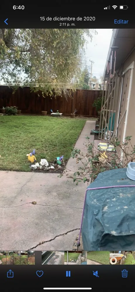 Expert landscape design experts serving San Pablo, CA - Green Lawn Services