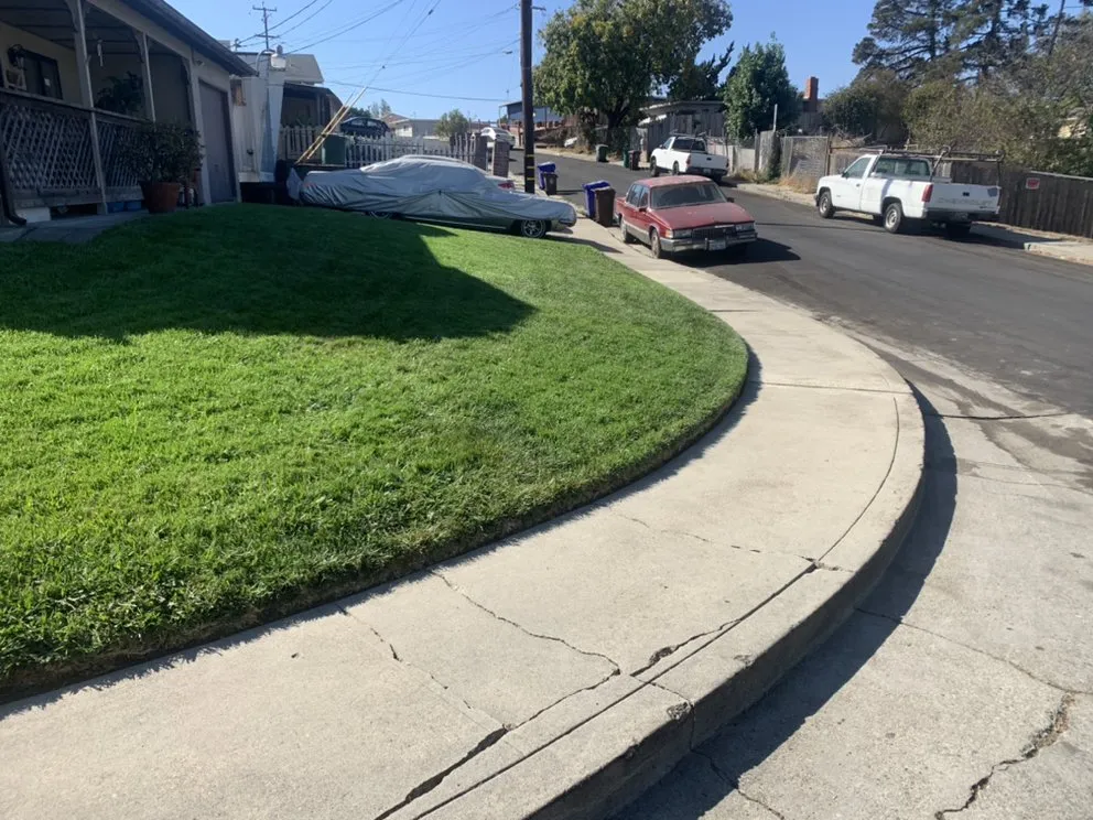 Local yard maintenance for homes across San Pablo, CA - Green Lawn Services