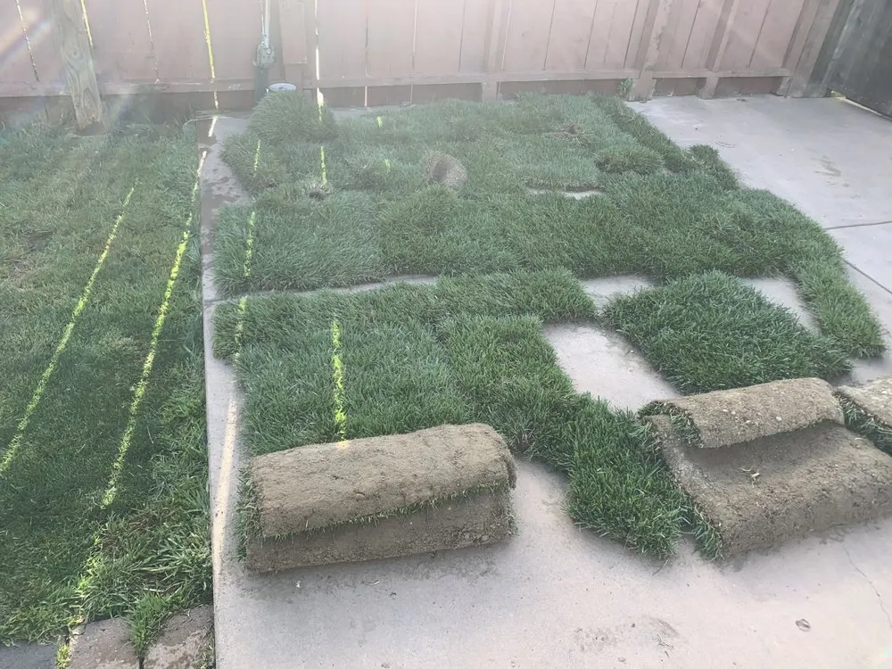 Affordable yard cleanup service with custom design across San Pablo, CA - Green Lawn Services