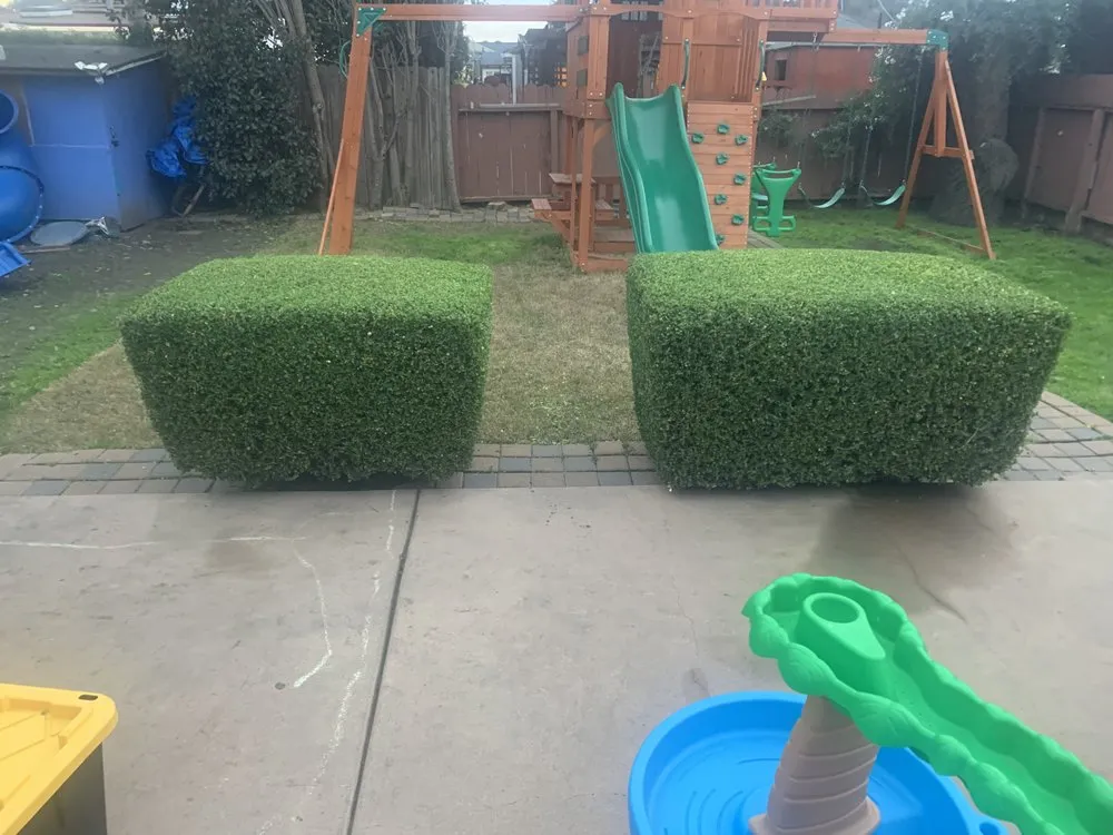 Reliable lawn mowing service for homes across San Pablo, CA - Green Lawn Services