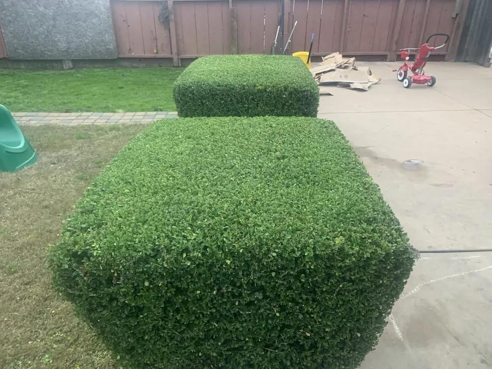Local landscape design in San Pablo, CA by Green Lawn Services