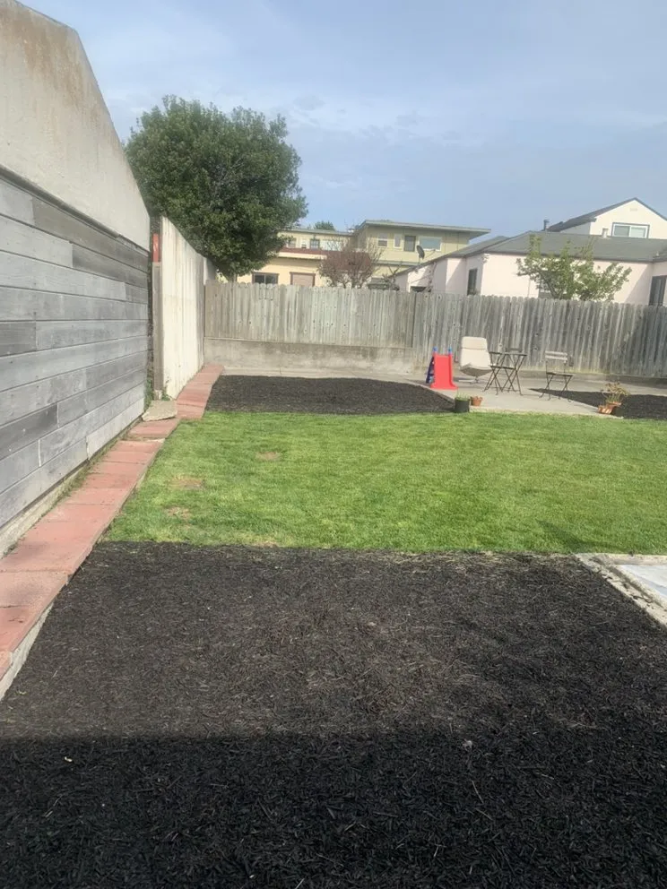 Reliable lawn care service experts serving San Pablo, CA - Green Lawn Services