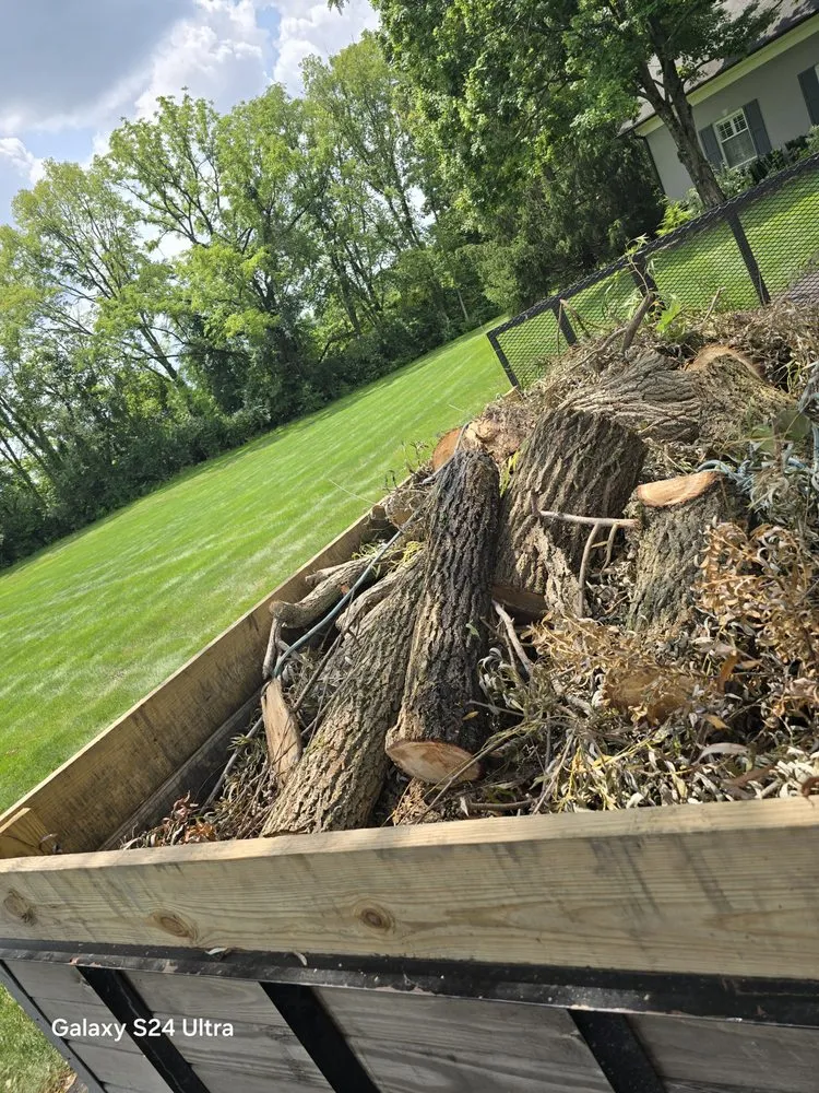 Professional landscape installation in Indianapolis, IN by Green Lawn Solutions