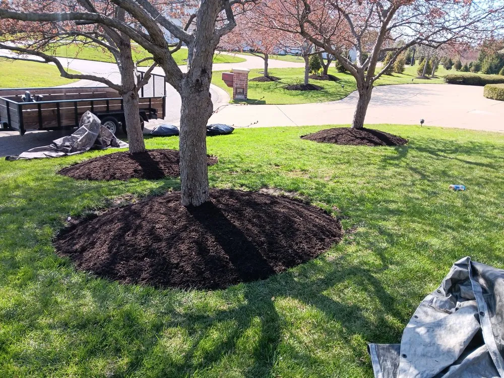 Local lawn care service in Indianapolis, IN - Green Lawn Solutions