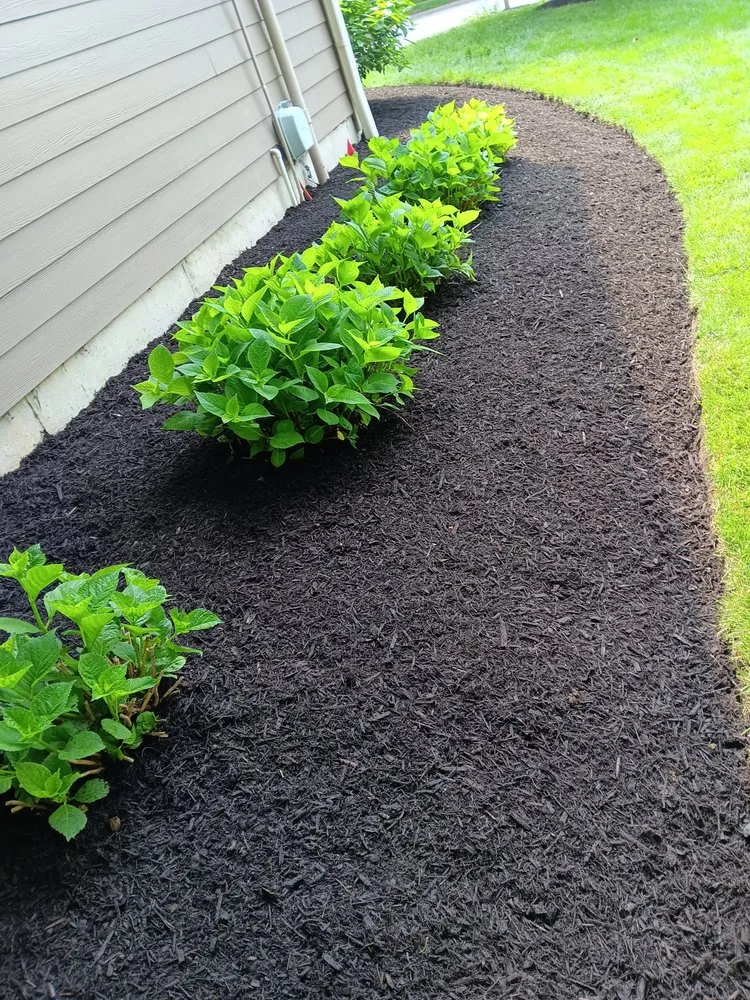 Custom landscape design in Indianapolis, IN - Green Lawn Solutions