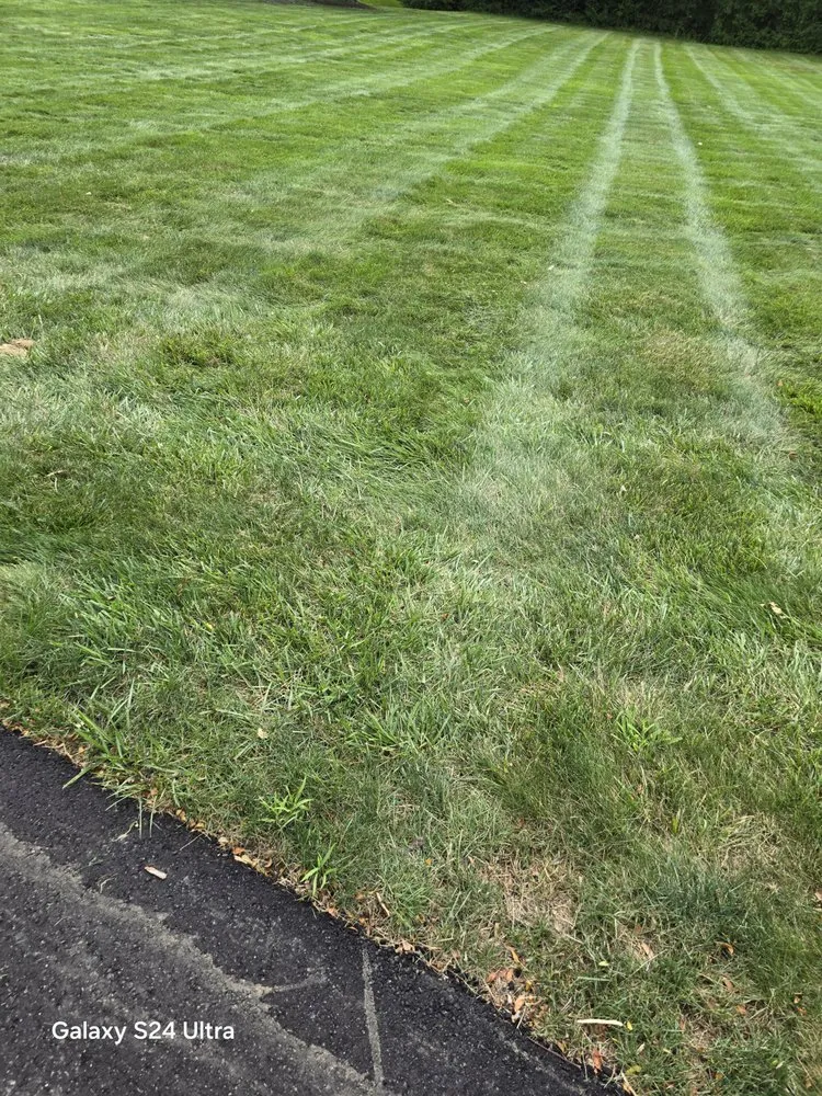 Reliable lawn mowing service in Indianapolis, IN by Green Lawn Solutions