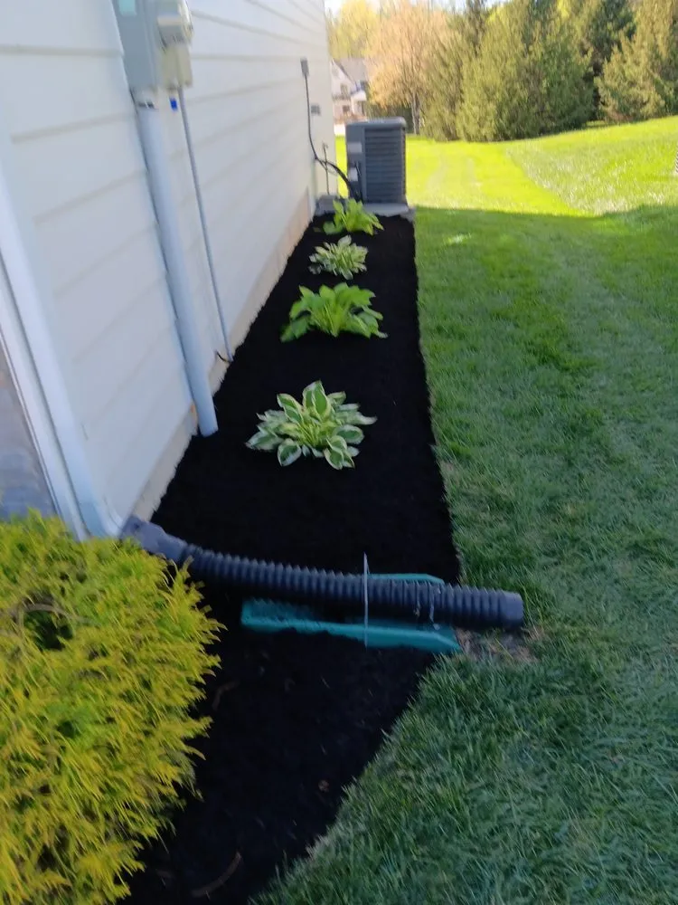 Affordable yard maintenance for residential properties across Indianapolis, IN - Green Lawn Solutions
