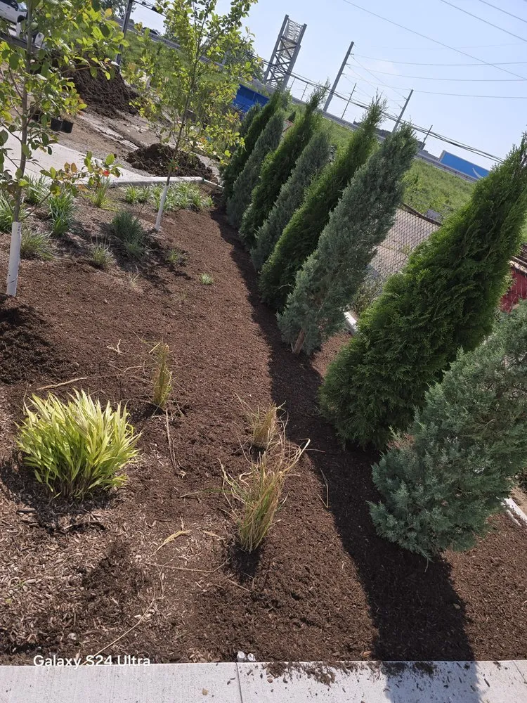 Custom lawn care service in Indianapolis, IN - Green Lawn Solutions