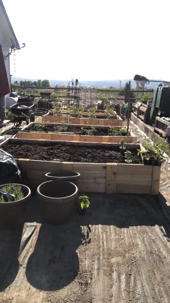 Top-rated outdoor landscaping for homes in Yakima, WA by Green Lawn