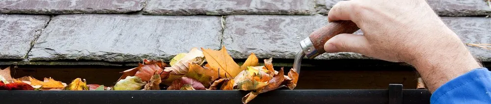 Expert garden landscaping in Macon, GA - Green Lawncare And Tree Cutting Services