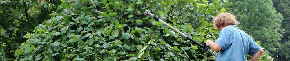 Local landscape installation near you in Macon, GA by Green Lawncare And Tree Cutting Services