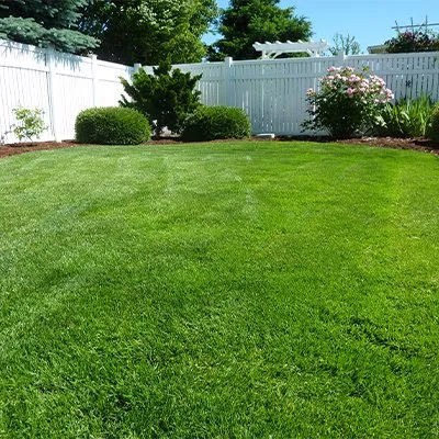 Expert residential landscaping in Macon, GA - Green Lawncare And Tree Cutting Services