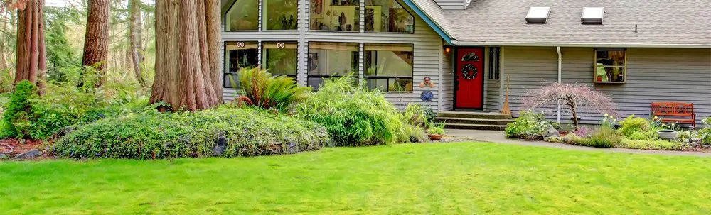 Custom lawn care service in Macon, GA by Green Lawncare And Tree Cutting Services