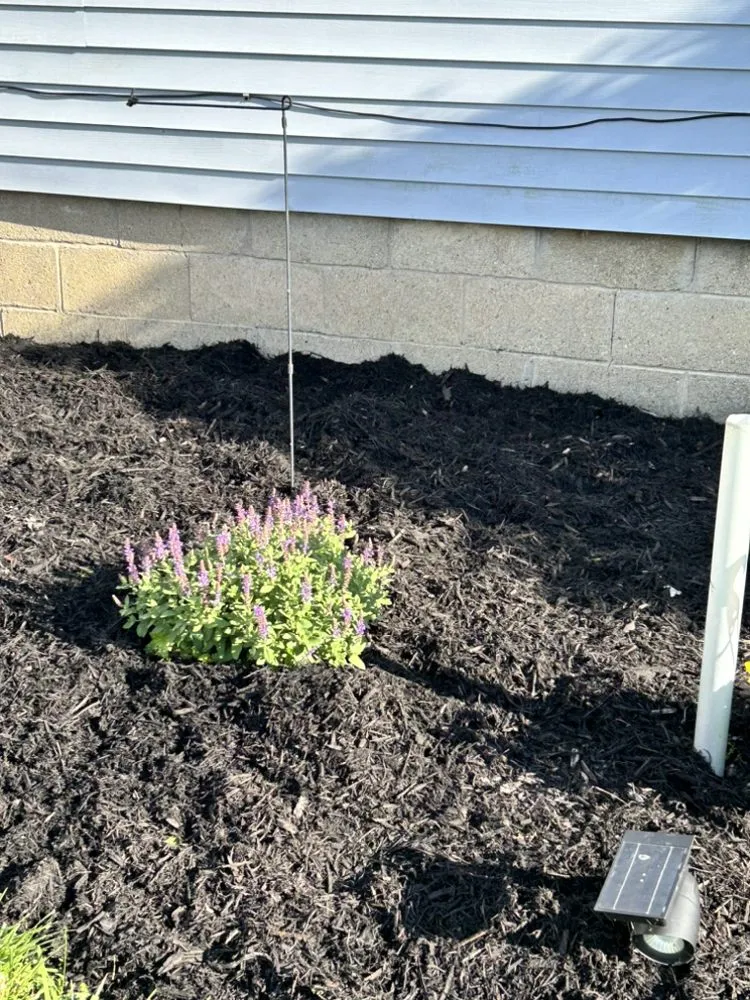 Professional landscaping services in Washington Court House, OH by Green Lawns By Jesse