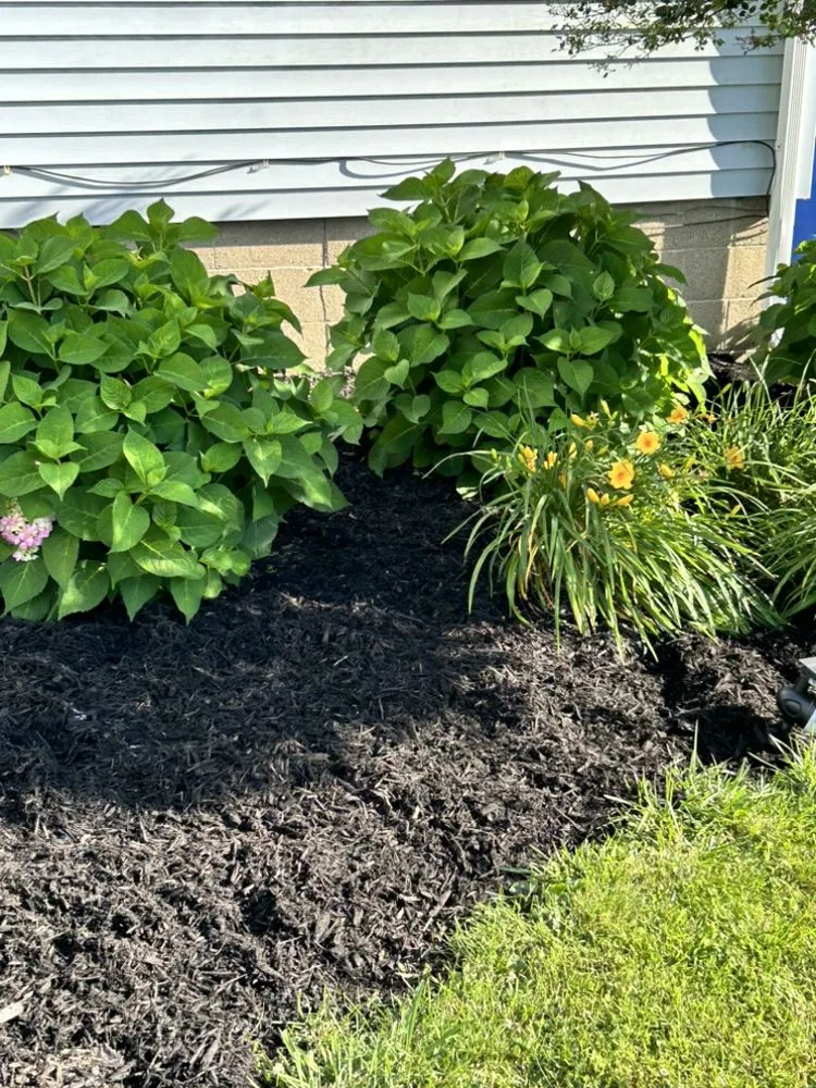 Trusted yard maintenance in Washington Court House, OH - Green Lawns By Jesse